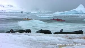 Antarctic Glacier Collapses In Ocean