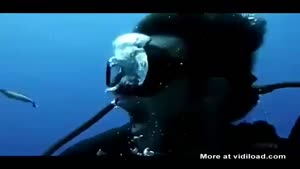 Fishy Dental Cleaning