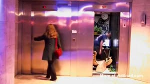 Living In An Elevator