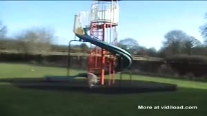 Super Excited Dog Takes The Slide