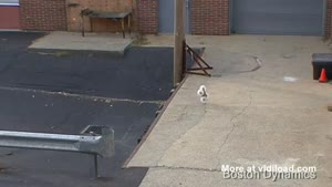 Cool Robot Jumps 30 Feet