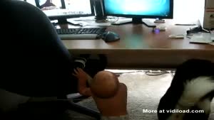 Baby Fitness