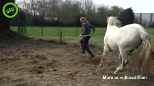 Girl Knocked Out By Horse