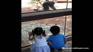 Monkey Peekaboo Ends With A Surprise