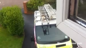 Cat With Super Powers