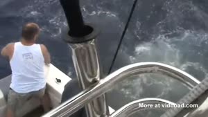 Sharks Steal Fisherman's Trophy