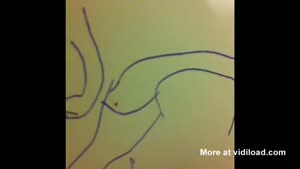 Trolling A Spider