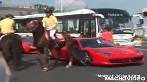 Horse Kicks Ferrari