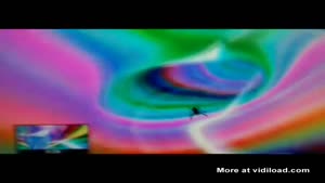 Spider Having A Psychedelic Trip
