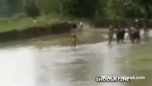 Water Skiing In Africa