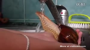 Showering Snail 