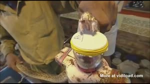 Human Blood's Reaction To Snake Venom