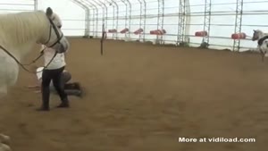 Spectacular Horse Jump