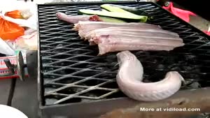 Rattle Snake Doesn't Like Grill