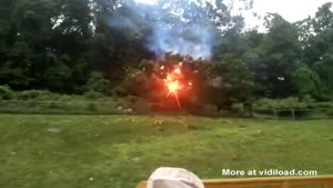 Tree Explodes On Electricity Cables
