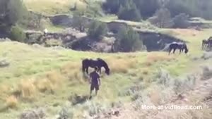Another Video Of Someone Trying To Pet A Wild Horse