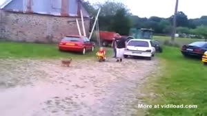 Toddler On Minibike Crashes