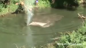 Hummer Is Also Submarine