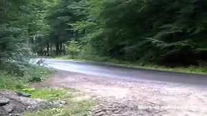 Rally Driver Has Difficulty Taking A Turn