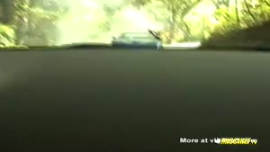 Corvette Z06 Vs Tree