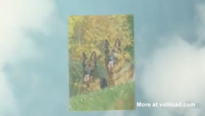 Sweet German shepherds