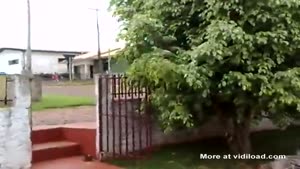 Strange Kind Of Dog