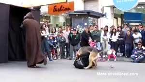 Dog Attacks Darth Vader