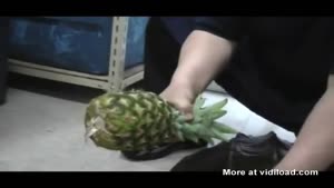 Snapper Vs Pineapple