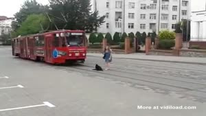 Dog Refuses To Let Tram Pass