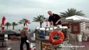 Seagull Steals Fish During Pelican Feeding Time
