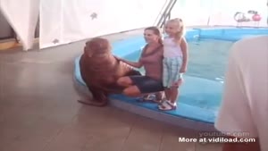 Sea Lion Gives Woman Slap On The Ass