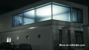 Spiders Projected Onto Windows