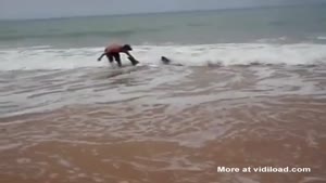 Brave Guy Saves Big Shark