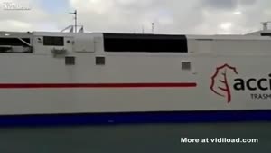 Truck Driver Accidentally Pushed The Gas