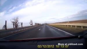 Driver Encounters Flock Of Birds