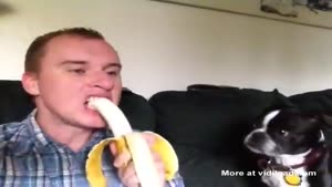 Sharing A Banana With Your Dog
