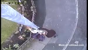 Criminals Cut Down Police Security Cam