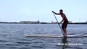Paddle Boarder Encounters Manatees