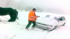 Horse Helps Car Out In The Snow