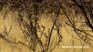 Squirrel Knows He's In Trouble