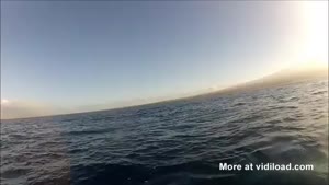 Whale Surprises Canoers