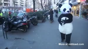 Panda Uses Black Magic On Kid Passing By