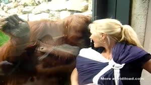 Orangutan Meets Baby
