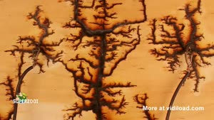 15,000 Volts Travels Through Wood