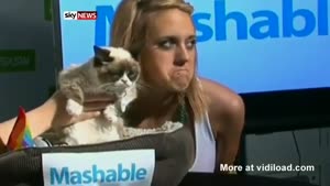 Grumpy Cat Is A Celebrity