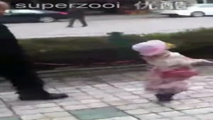 Walking His Bitch