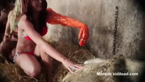 Bikini Babes Helping Cow Give Birth