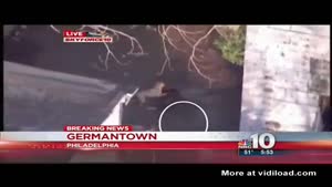 Dogs Misbehaving On Live TV