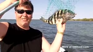 Fish With Good Teeth