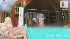 Toddler Poops On Water Slide